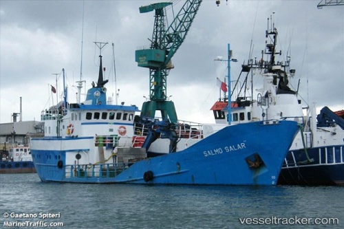 vessel Salmo Salar Lk IMO: 6704919, Fish Carrier
