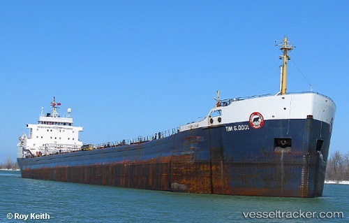 vessel Tim S Dool IMO: 6800919, Bulk Carrier
