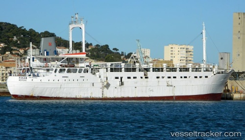 vessel Maysa IMO: 6829082, Livestock Carrier
