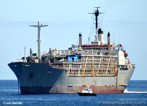 vessel Kenoz IMO: 7022356, Livestock Carrier
