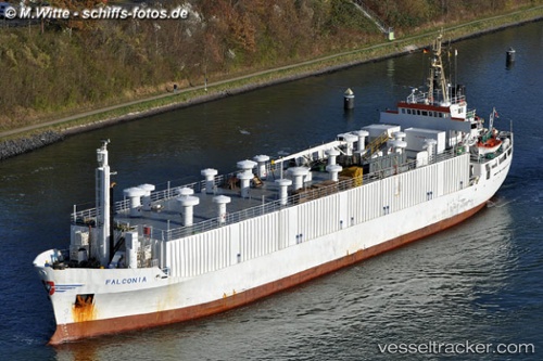 vessel Dragon IMO: 7303231, Livestock Carrier
