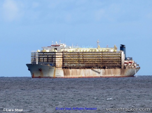 vessel Mawashi Express IMO: 7326893, Livestock Carrier
