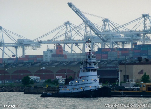 vessel Bering Sea IMO: 7512064, Tug
