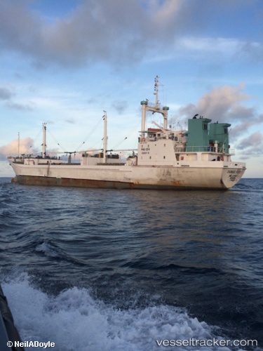 vessel '613004214' IMO: 7637591, 