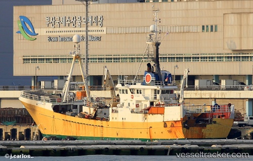 vessel Olafsson IMO: 7704708, Fish Carrier