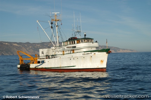 vessel Velero Iv IMO: 7738503, Fishing Support Vessel
