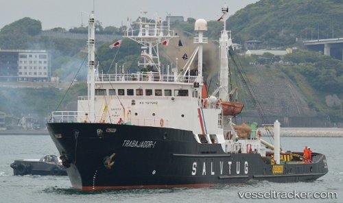 vessel Trabajador 1 IMO: 7817945, [tug.salvage_tug]
