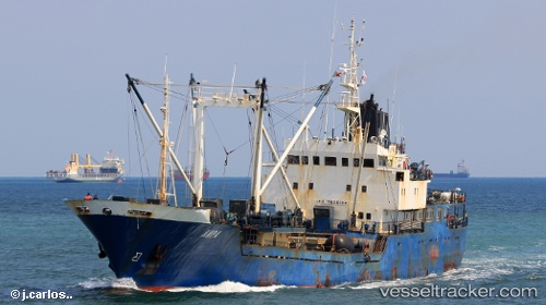 vessel LYRA IMO: 7826154, Refrigerated Cargo Ship