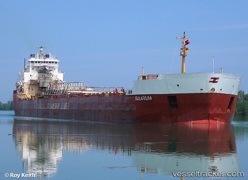 vessel Salarium IMO: 7902233, Self Discharging Bulk Carrier
