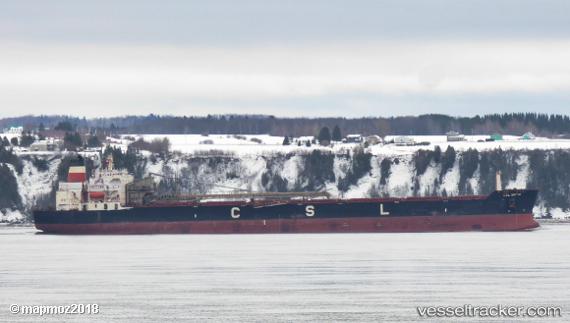 vessel Csl Metis IMO: 7926162, Self Discharging Bulk Carrier
