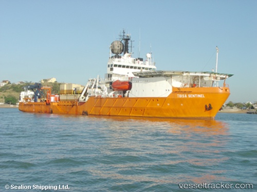 vessel Dsv Whale IMO: 8002626, Offshore Support Vessel
