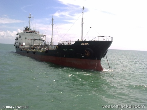 vessel Mt.niigata IMO: 8005977, Crude Oil Tanker
