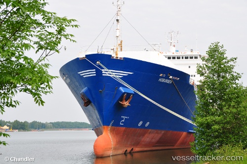 vessel LIDER BORDO MAVI IMO: 8009088, Ro-Ro Cargo Ship