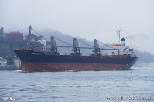 vessel Transocean IMO: 8114912, Bulk Carrier
