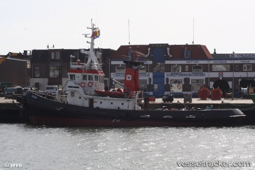 vessel Cougar IMO: 8120478, Tug
