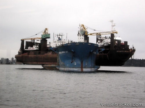 vessel Development Way IMO: 8124785, Heavy Load Carrier

