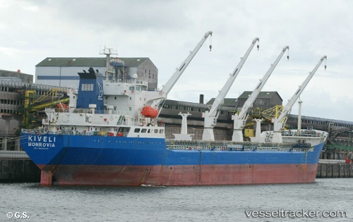 vessel PHOENIX DAWN IMO: 8204731, Bulk Carrier