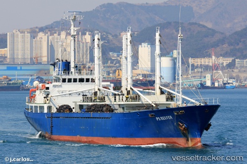 vessel Ps Reefer IMO: 8221947, Refrigerated Cargo Ship
