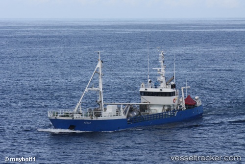 vessel Hedda IMO: 8304787, Fish Carrier
