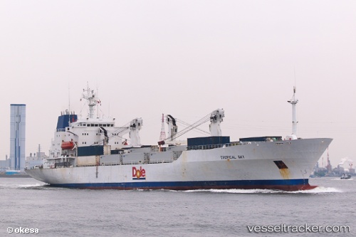 vessel Tropical Sky IMO: 8408882, Refrigerated Cargo Ship
