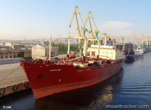 vessel Atlantic Lady IMO: 8500630, Refrigerated Cargo Ship
