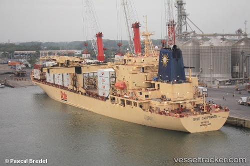vessel Dole California IMO: 8513467, Container Ship
