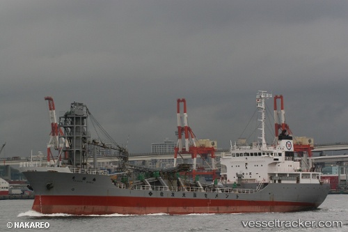 vessel Future Asia I IMO: 8702525, Cement Carrier
