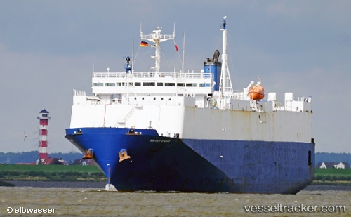 vessel Single Eagle IMO: 8708830, Vehicles Carrier
