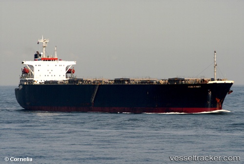 vessel Shandongexpress IMO: 8712647, Wood Chips Carrier

