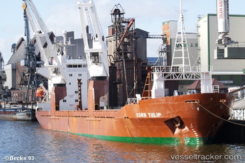 vessel ARKADIY CHERNYSHEV IMO: 8714695, General Cargo