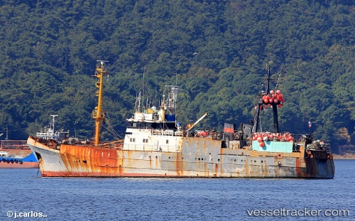 vessel Maltsevo IMO: 8722769, Fishing Vessel
