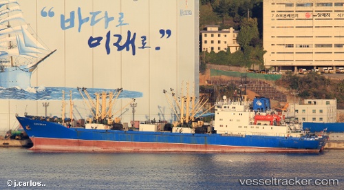 vessel Soraksan IMO: 8723361, Refrigerated Cargo Ship
