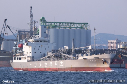 vessel Kaikoumaru IMO: 8748347, Cement Carrier
