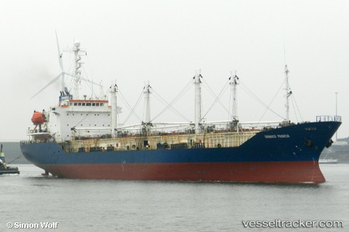 vessel Sein Sky IMO: 8813623, Refrigerated Cargo Ship
