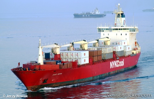 vessel Ivar Reefer IMO: 8819938, Refrigerated Cargo Ship
