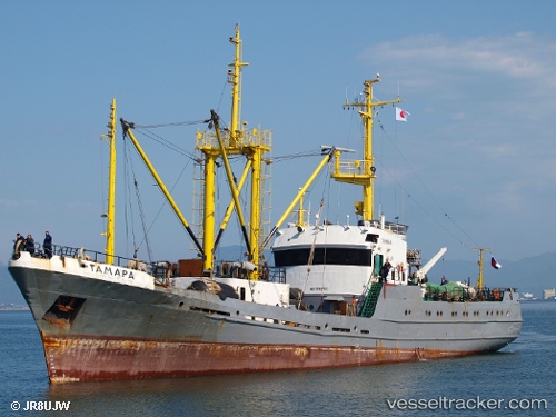 vessel Tamara IMO: 8880523, Fish Carrier
