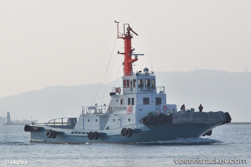 vessel Sinsei IMO: 8890102, Tug
