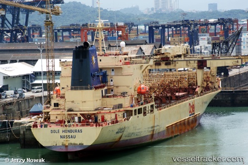 vessel Dole Honduras IMO: 8900323, Container Ship
