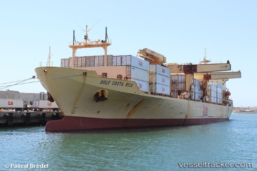 vessel Dole Costa Rica IMO: 8900335, Container Ship
