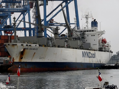 vessel Swan Chacabuco IMO: 8907876, Refrigerated Cargo Ship
