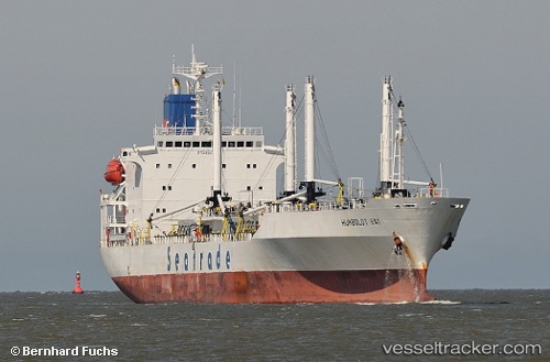 vessel ZHONG FU HAO 111 IMO: 8907888, Refrigerated Cargo Ship