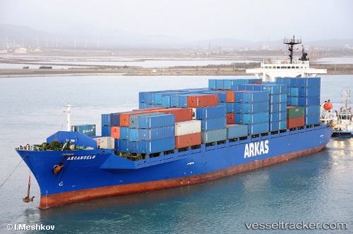 vessel Arcangelo IMO: 8909094, Container Ship
