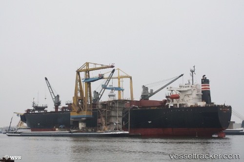vessel Stellar Express IMO: 8915249, Wood Chips Carrier
