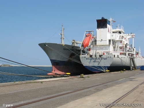 vessel Wellington Star IMO: 8917584, Refrigerated Cargo Ship
