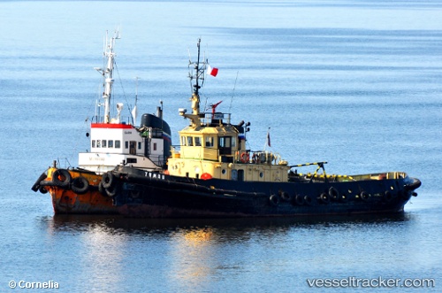 vessel Tuman IMO: 8932340, Tug
