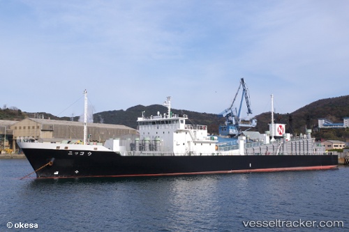 vessel Nikko IMO: 8980579, Ro Ro Cargo Ship
