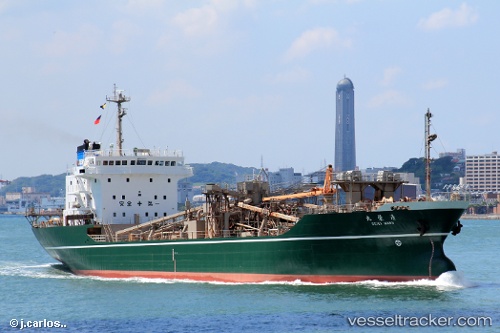 vessel Seiei Maru IMO: 9033012, Cement Carrier
