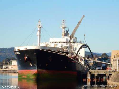 vessel Goliath IMO: 9036430, Cement Carrier
