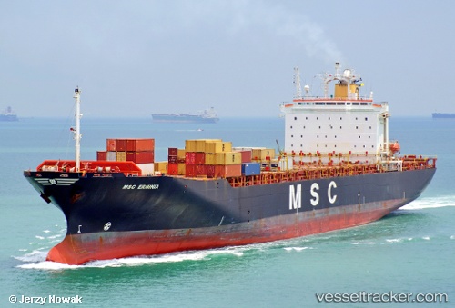 vessel Msc Erminia IMO: 9043756, Container Ship
