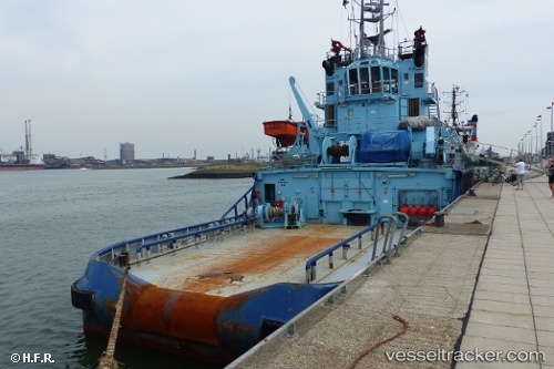 vessel FFS ARION IMO: 9056789, Anchor Hoy